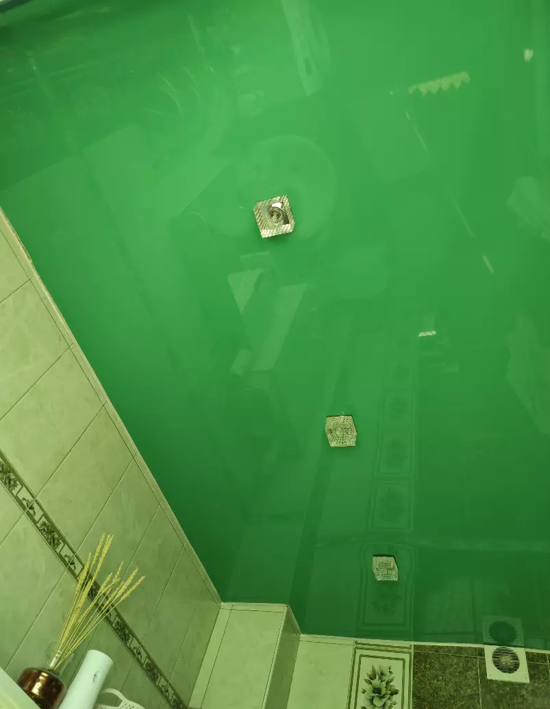 Энгельс, проспект Фридриха Энгельса, 65, фото 1