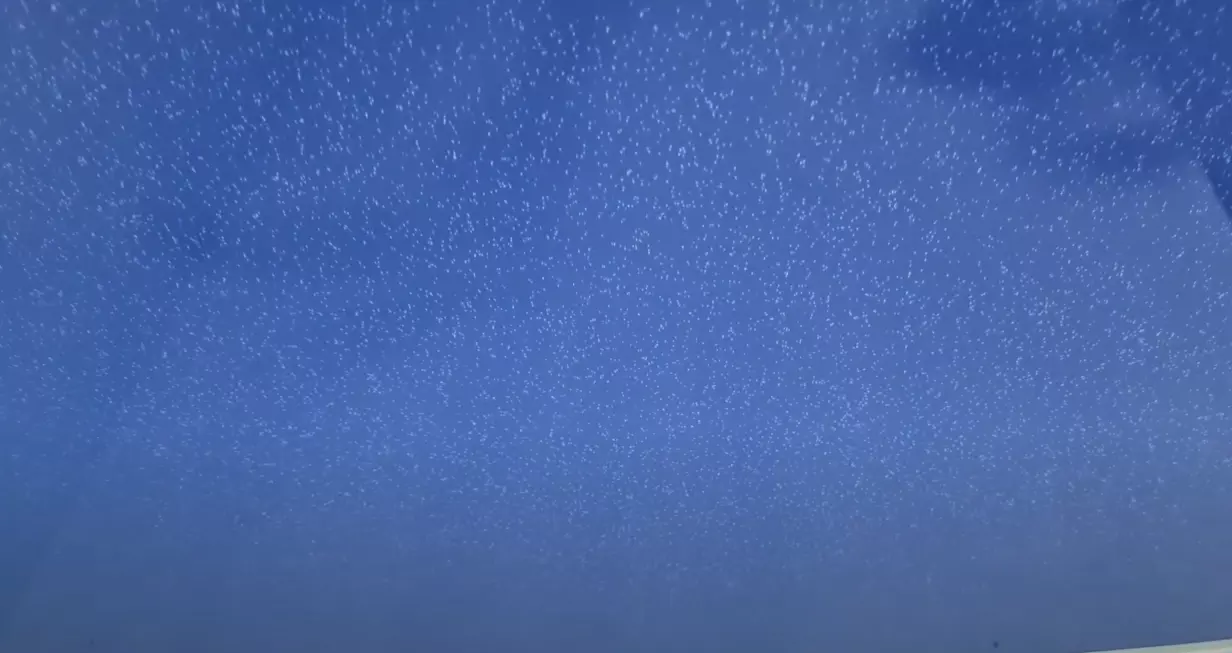 Херсон, Красноярская, 6, фото 3